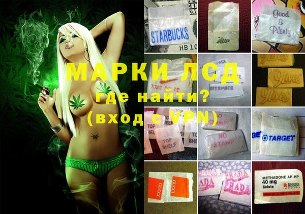 мдпв Абаза