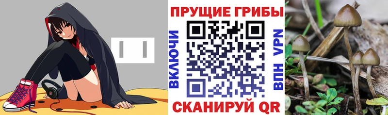 Галлюциногенные грибы MAGIC MUSHROOMS  Ковров 