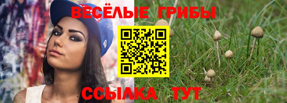Ковров  Галлюциногенные грибы Magic Shrooms  Вход с VPN 