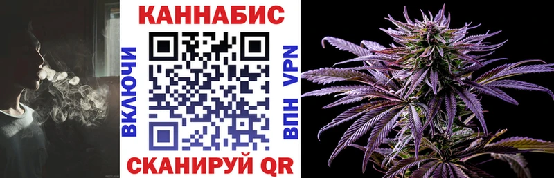 Бошки Шишки ГИДРОПОН  Ковров 